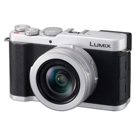 10年間保証付き パナソニック LUMIX DC-L10-S シルバー(2026年6月18日発売予定)発売日以降のお届け