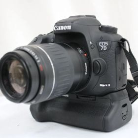 【返品保証】 キャノン Canon EOS 7D Mark II EF 55-200mm F4.5-5.6 II USM BG-E16付き デジタル一眼 e12353