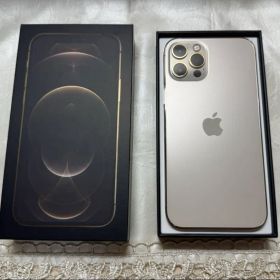 【お値下げ⭕️】Apple iPhone 12 Pro シルバー 本体