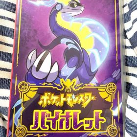Nintendo Switch ポケットモンスター バイオレット
