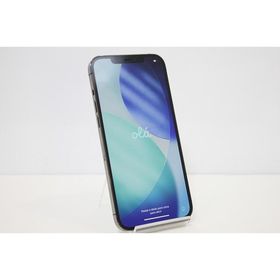 iPhone 12 Pro Max MGCU3J/A Apple docomo iOS SIMロック解除済み SIMフリー 残債なし 128GB グラファイト