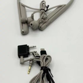 【中古 動作確認済】 ソニー ワイヤレスノイズキャンセリングイヤホン WI-1000XM2 プラチナシルバー WI-1000XM2 SM 音楽 ミュージック 音楽鑑賞 運動 ランニング 通勤 通学 耳 イヤー イヤホン 音質 没入感 集中 音 使いやすい ジムリラックス 小さい