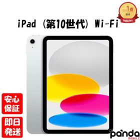 【4日20時からポイントUP! スーパーSALE】新品未開封品【Nランク】iPad (第10世代) 10.9インチ Wi-Fi 256GB MPQ83J/A シルバー Apple A2696 2022年モデル 本体 送料無料 4549995361599