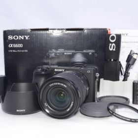 SONY α6600M 高倍率ズームレンズキット 動作確認済み 付属品充実 コンディション良好
