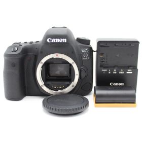 ショット数209回！■美品■ CANON デジタル一眼レフカメラ EOS 6D Mark II ボディー EOS6DMK2 ♯12706