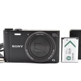 SONY DSC-WX350 20倍光学ズーム