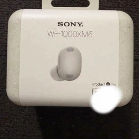 SONY イヤホン WF-1000XM6/SZ