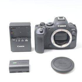 キヤノン Canon EOS R6 Mark II ボディー