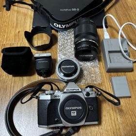 【シャッター数:1581回】OLYMPUS OM-D E-M5 Mark II