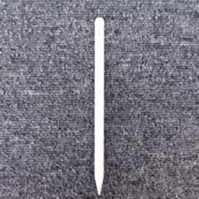 APPLE PENCIL第二世代 A2051 APPLE