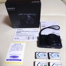 【充電器有り通電確認済】SONY サイバーショットDSC-RX100 初代