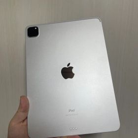 Apple iPad Pro 11インチ 第2世代 本体
