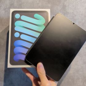 iPad mini 第7世代 Wi-Fi + Cellular 256GB