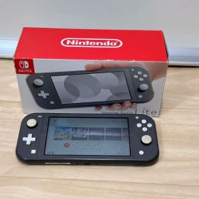 NINTENDO SWITCH LITE ゲーム機 動作確認済み