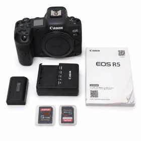 Canon EOS R5 ボディ おまけ付 SDカード2枚付