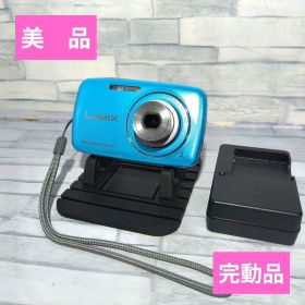 美品 動作確認済 Panasonic LUMIX S DMC-S1