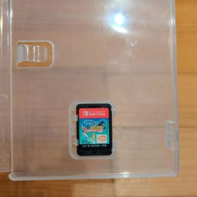 釣りスピリッツ Nintendo Switch ソフト★ケース＆説明書なし★