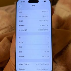 中国版 iPhone 16 Pro 256GB、美品、デュアル物理SIM対応です
