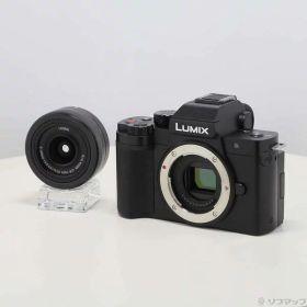 【中古】Panasonic(パナソニック) DC-G100DV 【344-ud】