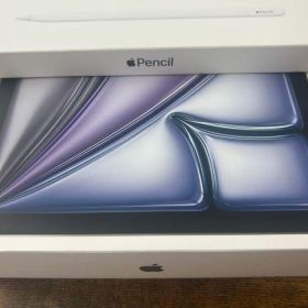 Apple iPad 本体 ＋Apple Pencil USB-C セット
