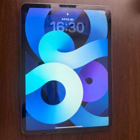 Apple iPad Pro 11インチ 第2世代 256GB 本体