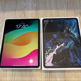 ジャンクApple iPad Pro 11インチ(第1世代) 256GB 本体