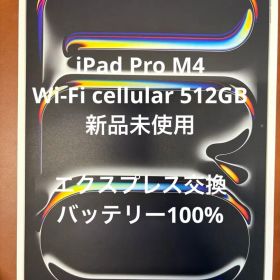 iPad Pro M4 Wi-Fi cellular 512GB 11インチ