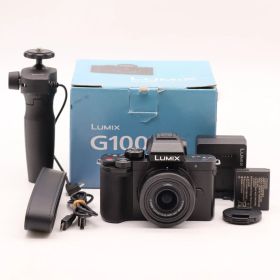 パナソニック ミラーレス一眼カメラ ルミックス G100K 標準ズームレンズキット ブラック DC-G100K-K #5207
