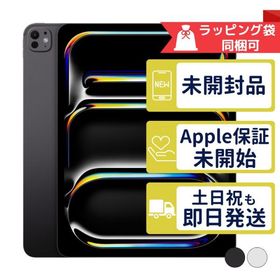 iPad Pro 13インチ M4 256GB APPLE Wi-Fi + Cellular SIMフリー 新品未開封 APPLE版SIMフリーorキャリア判定○品