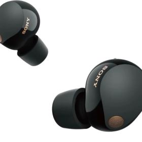 ソニー(SONY)ワイヤレスノイズキャンセリングイヤホン WF-1000XM5 :【VGP2025金賞】