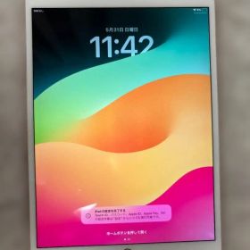 （Y11） iPad Pro 10.5インチ 64GB 本体ローズゴールド