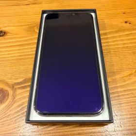Apple iPhone 12 Pro 本体 256GB グラファイト