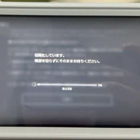 Nintendo Switch Lite ザシアン・ザマゼンタ 美品