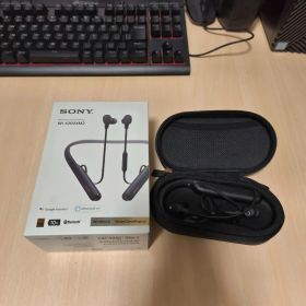 SONY WI-1000XM2 ワイヤレスイヤホン 本体