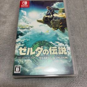 ゼルダの伝説 ティアーズ オブ ザ キングダム Switch