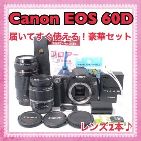 訳アリ特価✨Canon EOS 60D 超望遠Wレンズセット スマホ転送リーダー