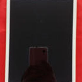 IPADMINI3 MGYU2J/A A1600 APPLE