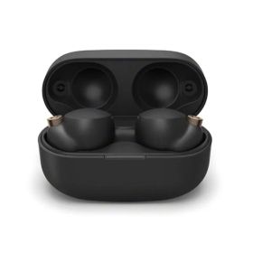 Sony WF-1000XM4 ワイヤレスイヤホン 本体