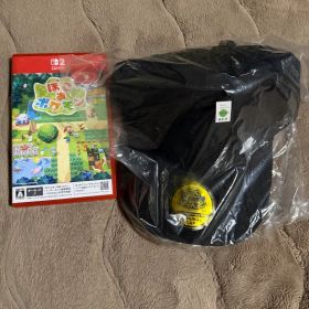 ぽこあポケモン エディオン特典 メタモン帽子 新品未使用