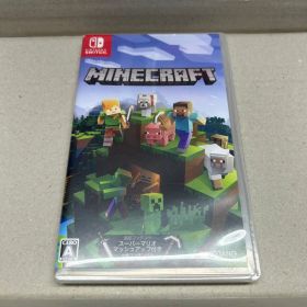 マインクラフト ソフト