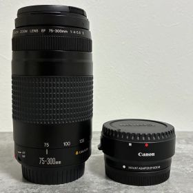 ⭐️美品⭐️Canon EF 75-300 II & EF-EOS M アダプター