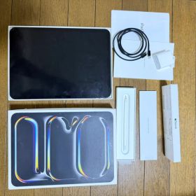 Apple iPad Pro Apple Pencil セット