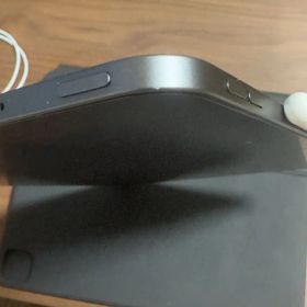 Apple iPad Pro 12.9インチ 第５代（2021)
