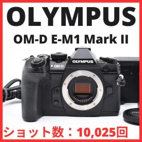F06[7884]55 オリンパス OLYMPUS OM-D E-M1 Mark II ボディ E-M1II 【ショット数 10，025回】