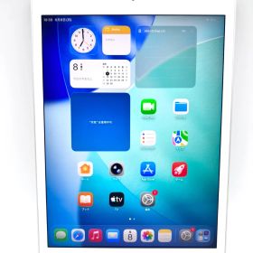 B256// iPad mini 第5世代 Wifi モデル 64GB シルバー