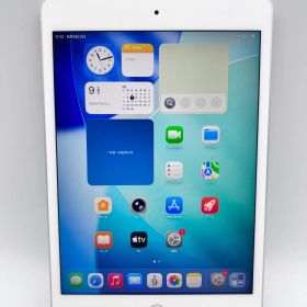 B257// iPad mini 第5世代 Wifi モデル 64GB シルバー