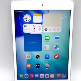 B265// iPad mini 第5世代 Wifi モデル 64GB シルバー
