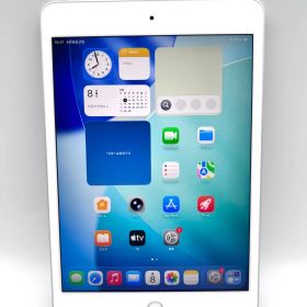 B261// iPad mini 第5世代 Wifi モデル 64GB シルバー
