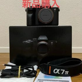 【美品】SONY α7 IV ILCE-7M4 シャッター12,179回 元箱付