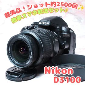 ✨Nikon D3100✨ショット極少 美品 スマホ転送 すぐ使える